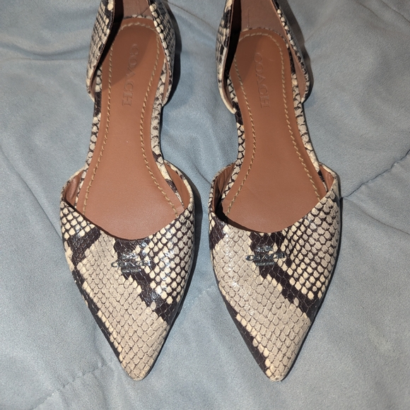 Coach Women's Black and Cream Snakeskin Flats - Picture 1 of 7
